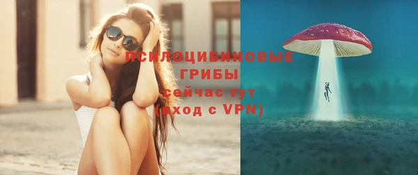 spice Кодинск