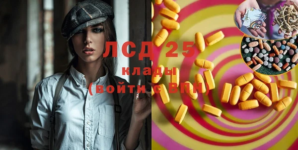 ПСИЛОЦИБИНОВЫЕ ГРИБЫ Козельск
