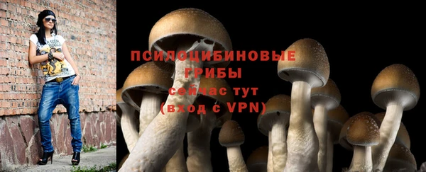 2c-b Козловка
