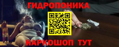 стаф Балаково