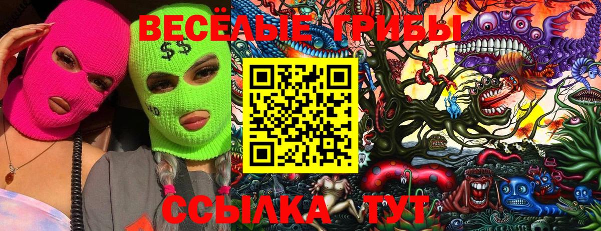 Галлюциногенные грибы Psilocybine cubensis Вичуга
