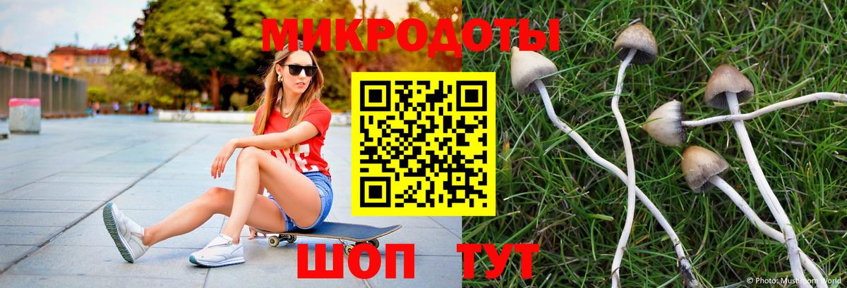 Галлюциногенные грибы Cubensis  Вход с VPN  Вичуга  Галлюциногенные грибы мицелий 