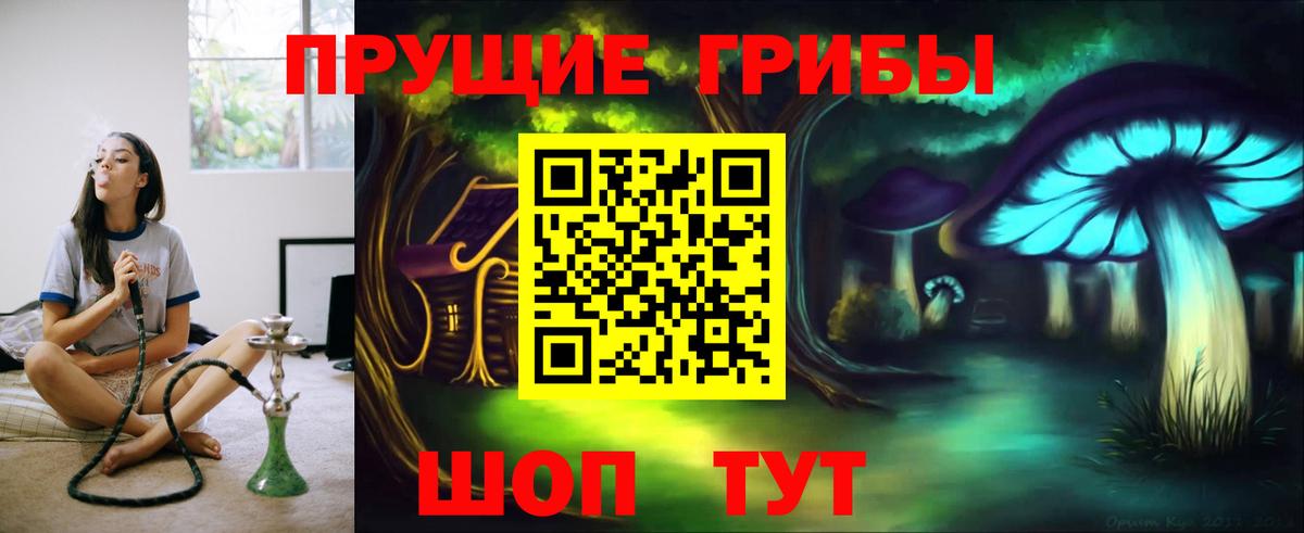 Галлюциногенные грибы Psilocybe Вичуга