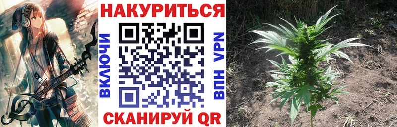 МАРИХУАНА индика  купить наркотики сайты  Вичуга 